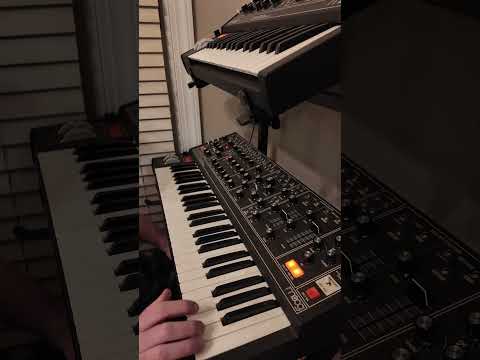 #jamuary day 18 - Stretch Out.   A simple multi VCO saw wave with big decay and sustain with delay