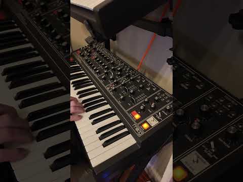 #jamuary Day 13 - Exploration on the #moogmatriarch