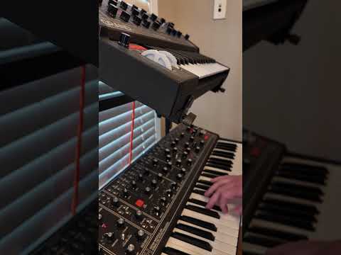 #jamuary day 23 - color outside the lines #moogmatriarch #mooggrandmother