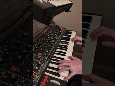 #jamuary Day 22 - No MIDI Allowed #moogmatriarch